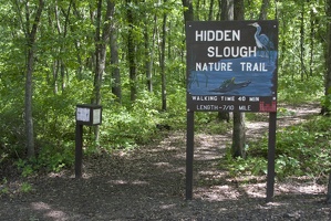 314-2273 Hidden Slough Nature Trail